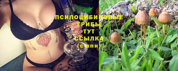 герыч Майский