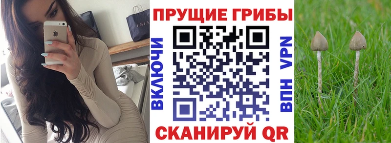 Псилоцибиновые грибы прущие грибы  Купить  Усинск 